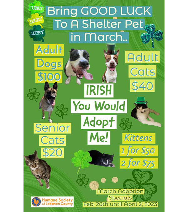 Bring Good Luck to a Shelter Pet in March!