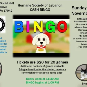 Bingo