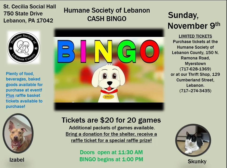 Bingo