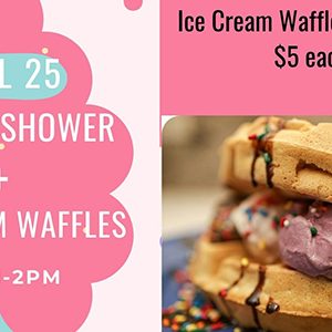kitten shower + ice cream social fundraiser