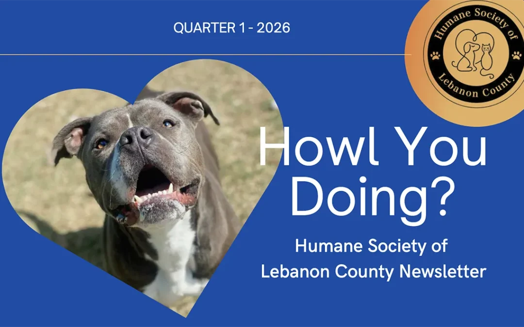 Newletter – Quarter 1 2026