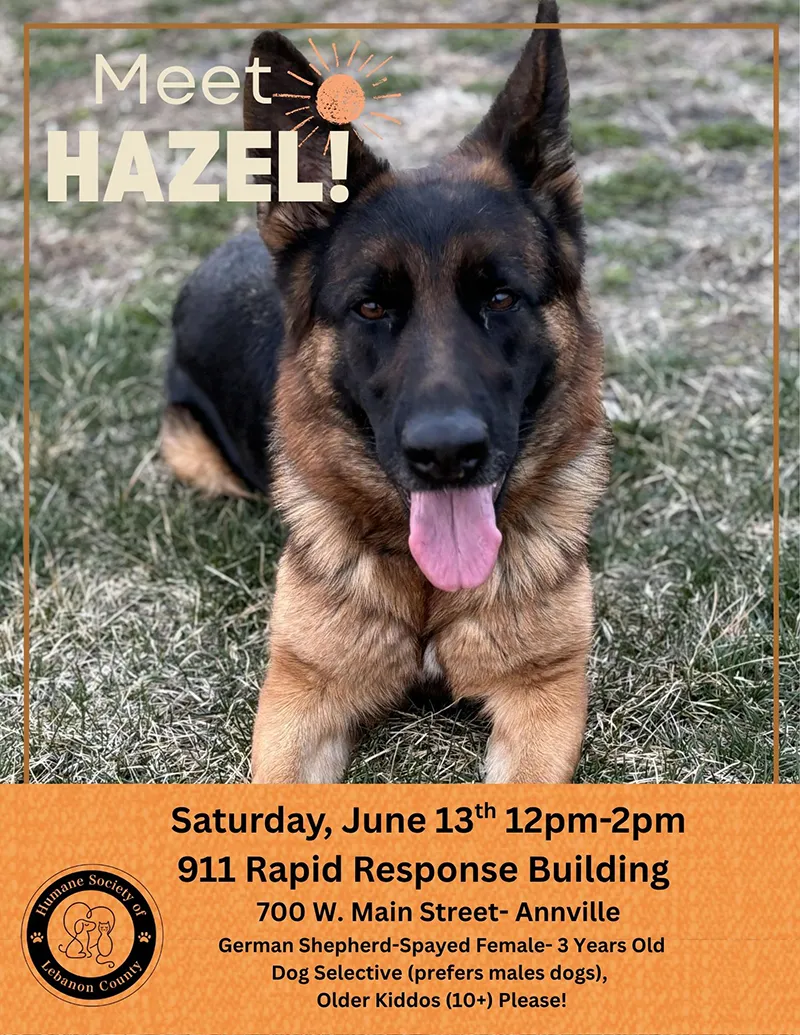 Meet Hazel Day