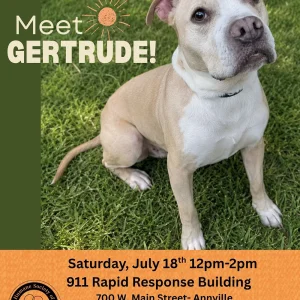 Meet Gertrude