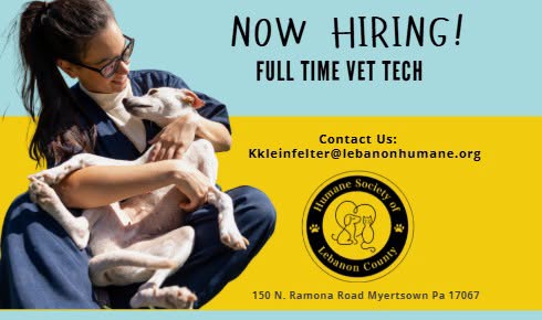 Now Hiring Full Time Vet Tech