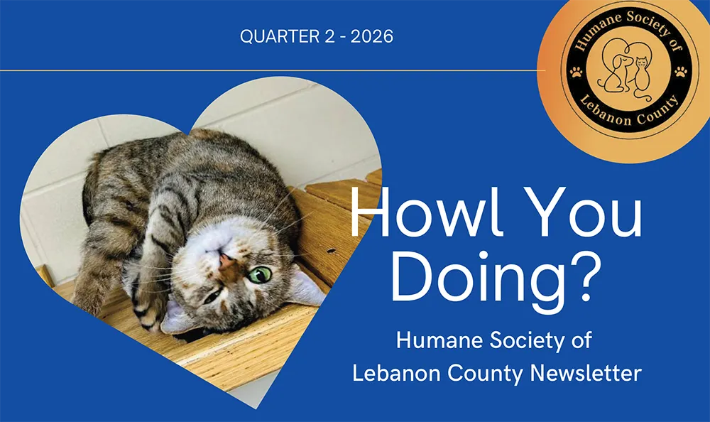 Newsletter – Quarter 2 2026