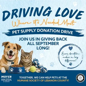 Driving Love