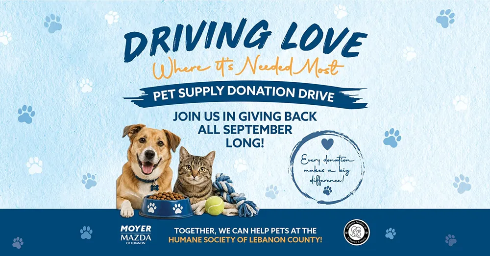 Driving Love