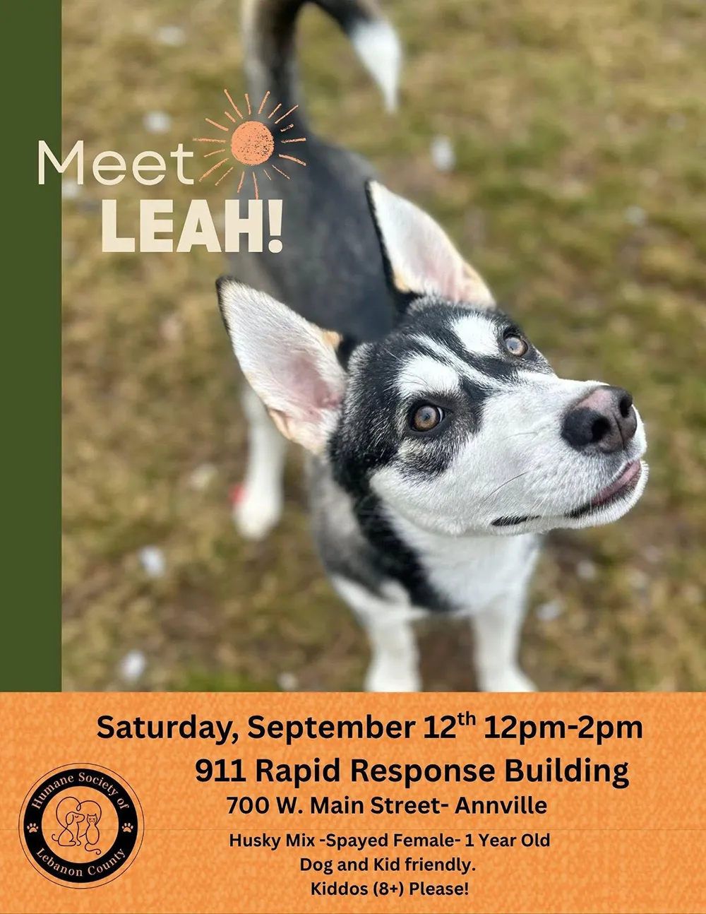 Meet Leah Day