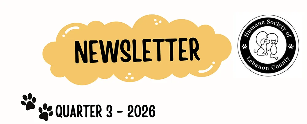 Newsletter – Q3 2026